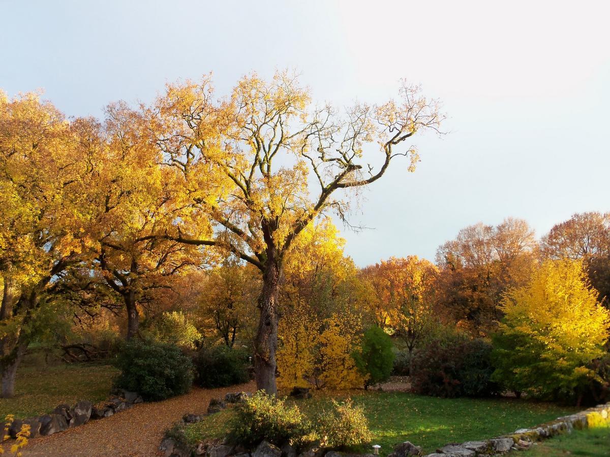 Chambres Et Jardin De Pierres Espédaillac Eksteriør billede