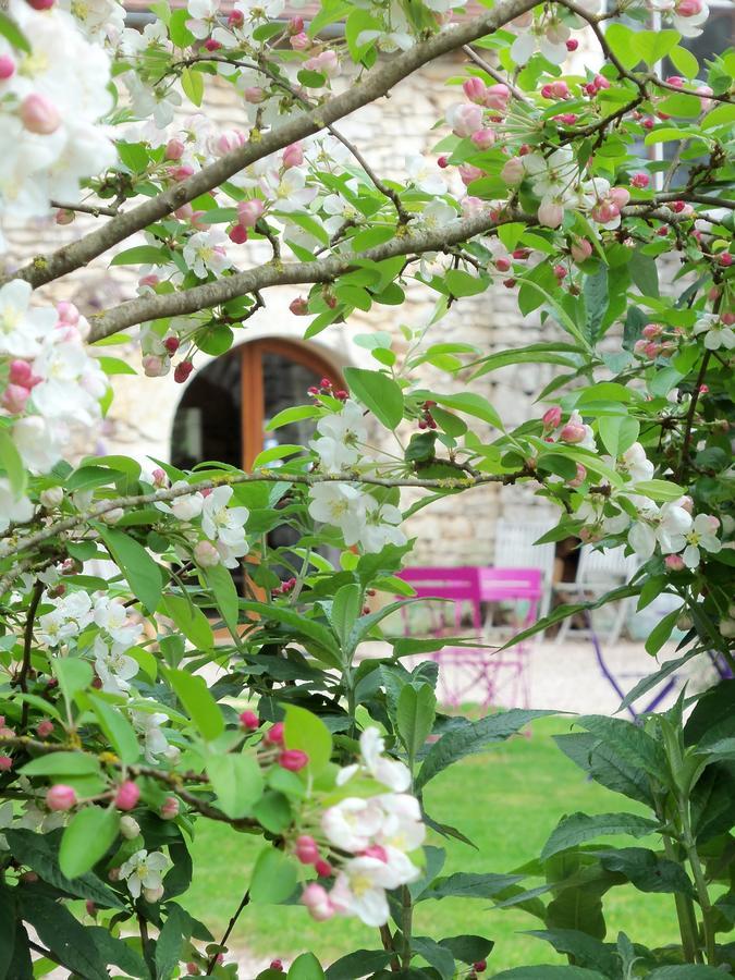 Chambres Et Jardin De Pierres Espédaillac Eksteriør billede