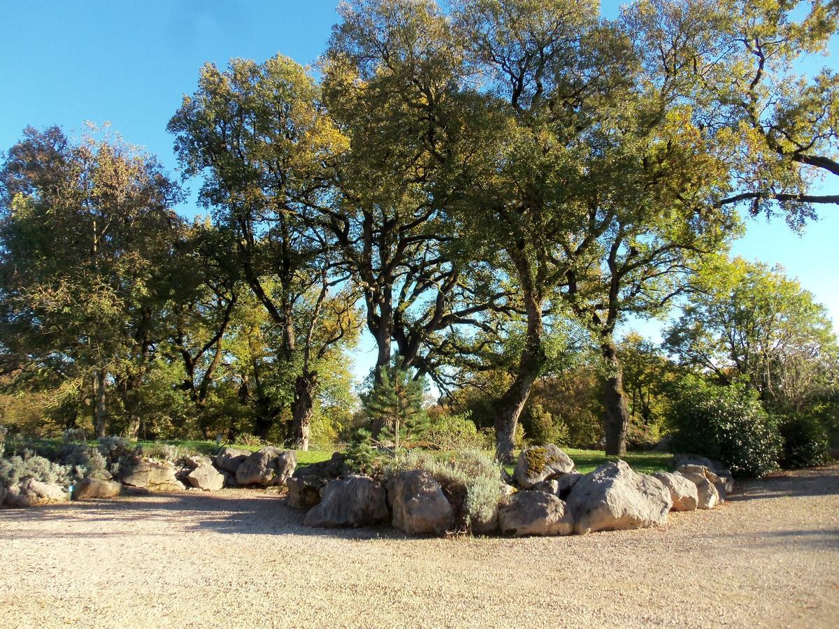 Chambres Et Jardin De Pierres Espédaillac Eksteriør billede