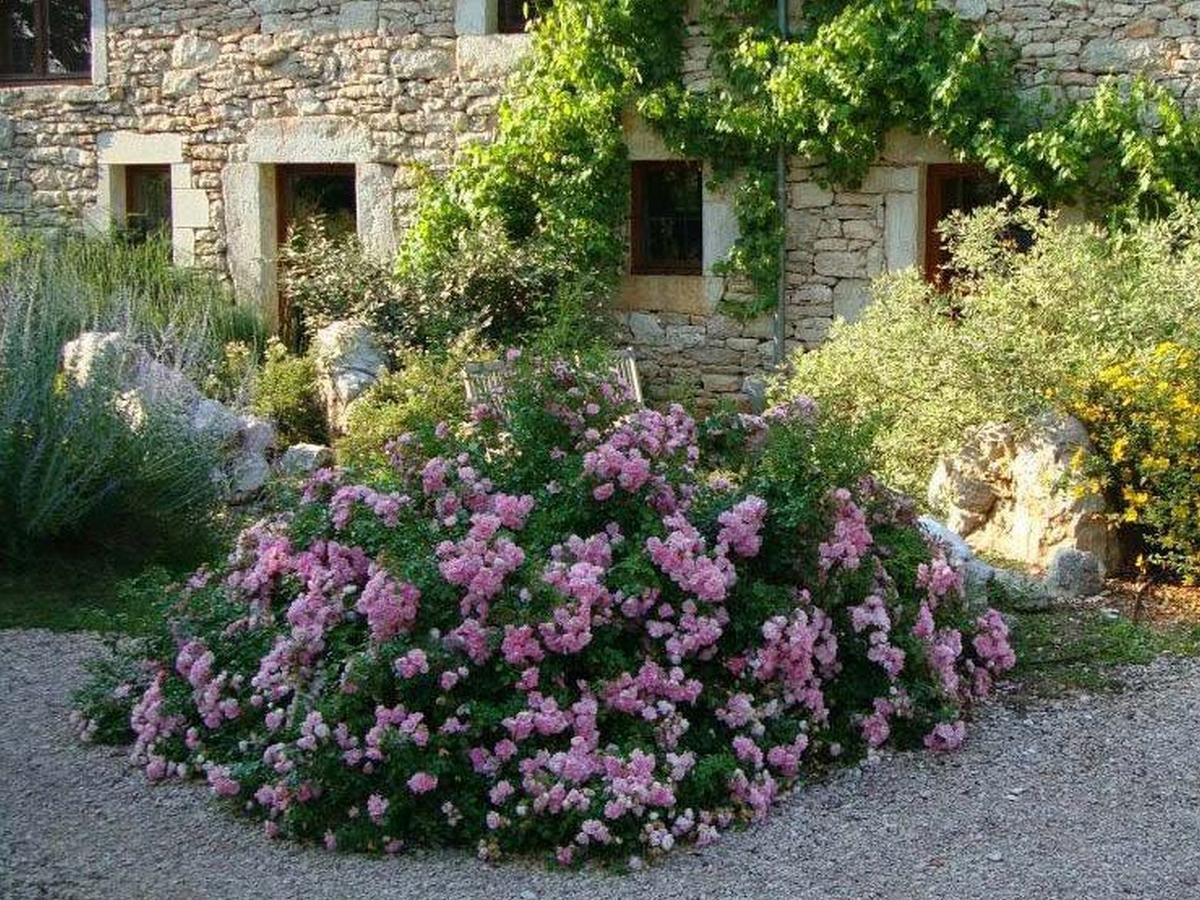 Chambres Et Jardin De Pierres Espédaillac Eksteriør billede